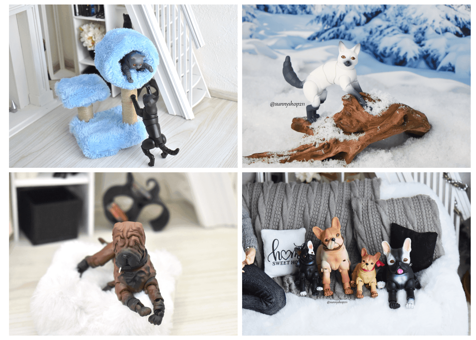 Pets and accessories